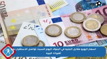 أسعار اليورو مقابل الجنيه في البنوك اليوم السبت تواصل الاستقرار دون تغيرات كبيرة